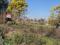 OFERTA- Venta Terreno Sector Las Lomas 